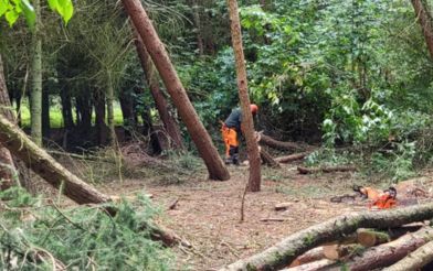 Felling Works At Fosse Meadows